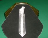 Dinheiro da gravata